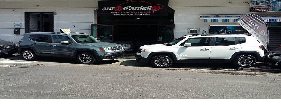 AUTO D'ANIELLO SRL VENDITA & NOLEGGIO