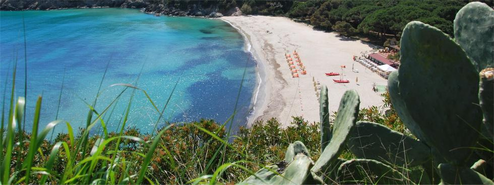 Agenzia Immobiliare Oasis