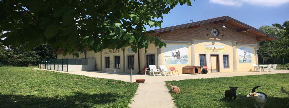 Centro Cinofilo Batti la Zampa