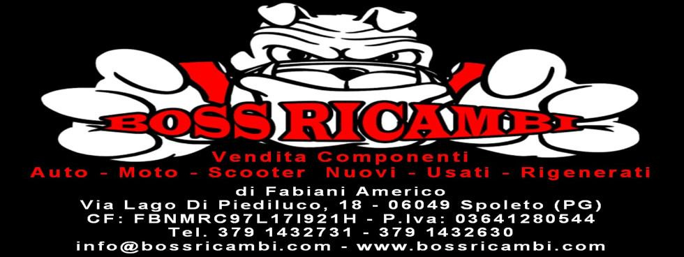 Boss Ricambi di Fabiani Americo