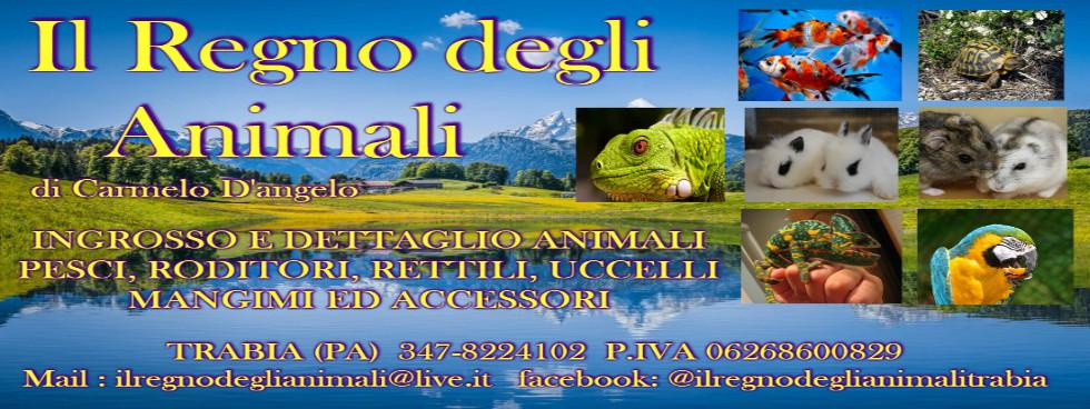 IL REGNO DEGLI ANIMALI di D'angelo Carmelo