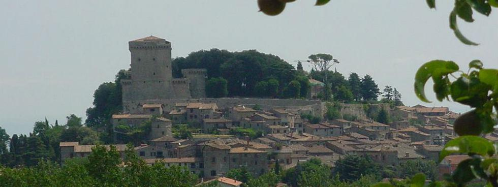 IL CASTELLO IMMOBILIARE SRL