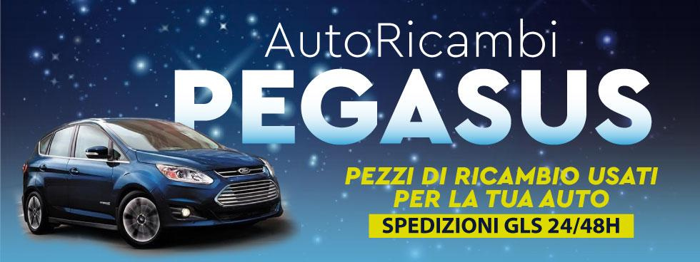 AutoRicambi Pegasus 3493990374