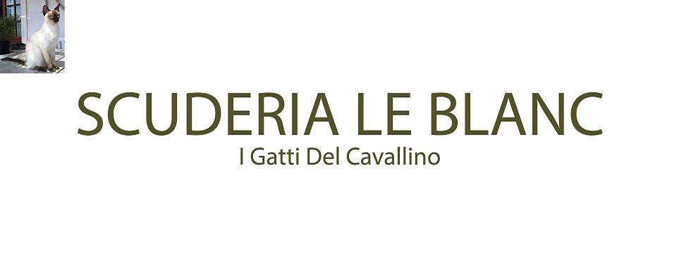 ALLEVAMENTO SCUDERIA LE BLANC