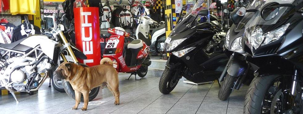 MARROCCHI MOTO