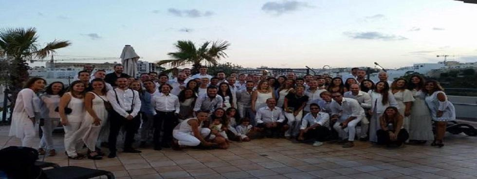 Vimik Marketing srls
