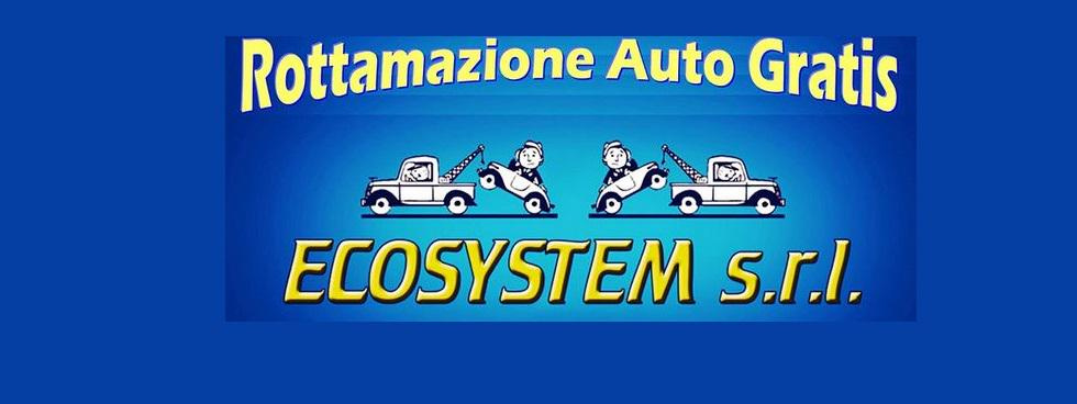 ECOSYSTEM RICAMBI USATI