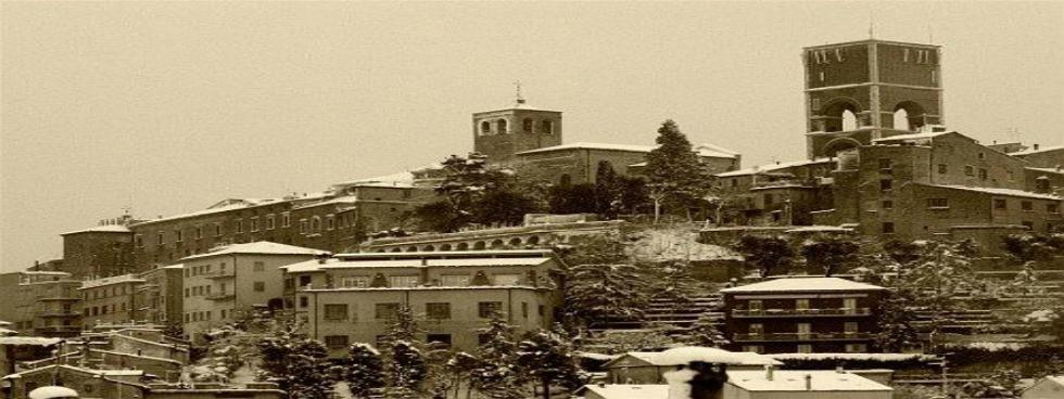 Immobiliare Osimo Agenzia Immobiliare