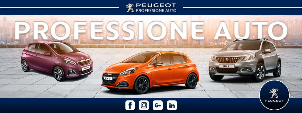 PEUGEOT PROFESSIONE AUTO S.r.l.