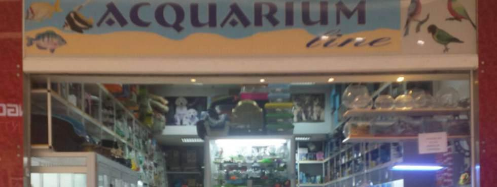 Aquarium line