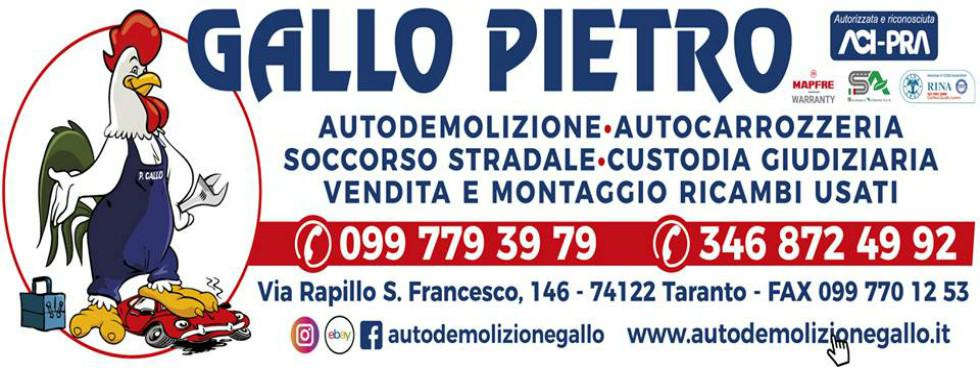 AUTODEMOLIZIONE GALLO PIETRO