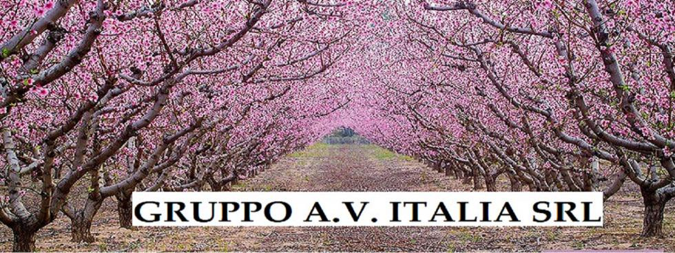 GruppoA.V.ITALIA - PASSIONEMOTO & Co