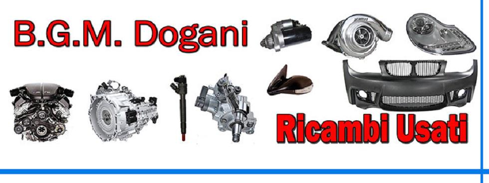 B.G.M. DOGANI