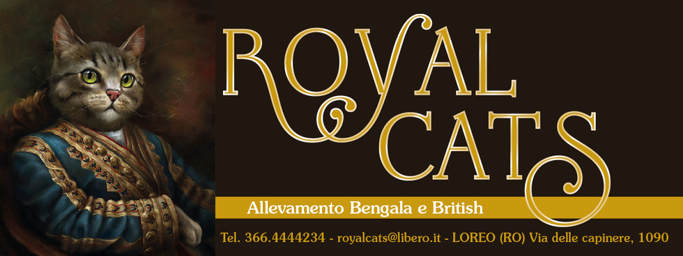 Royal Cats