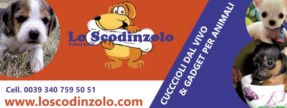 LO SCODINZOLO