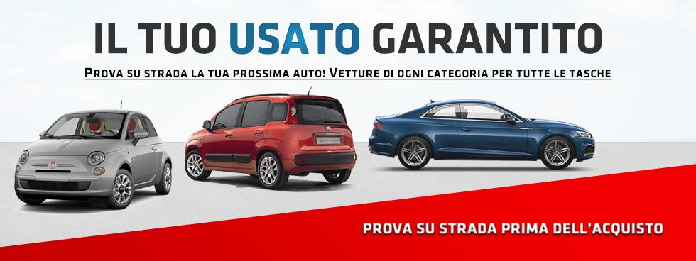 Viten Group SRL
