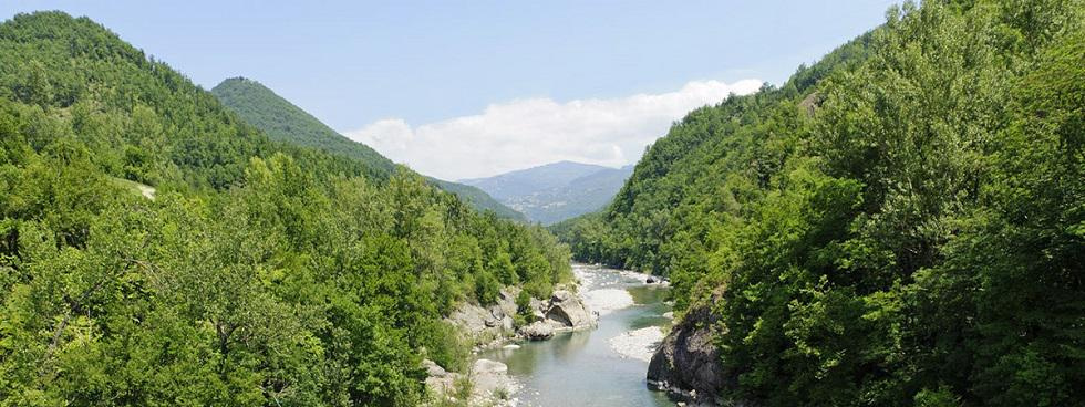 MALVICINI ANNA