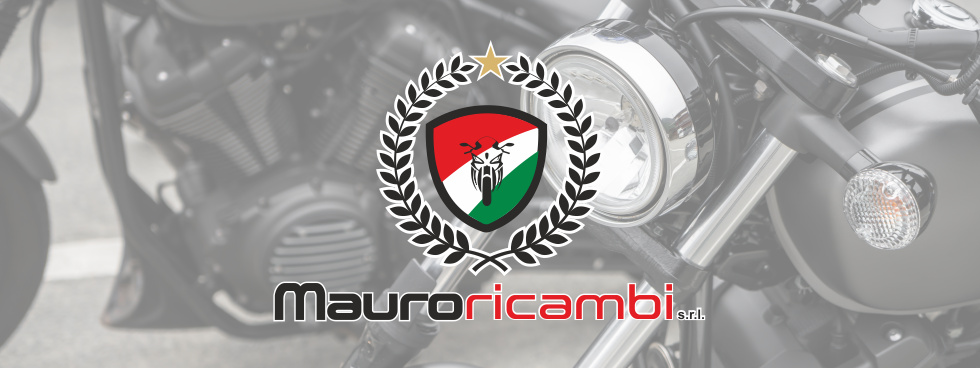 mauro ricambi srl
