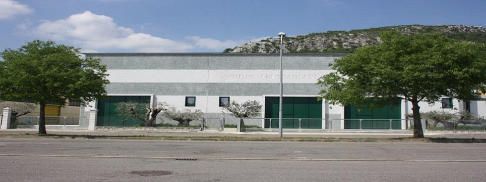 Maccabiani Egidio