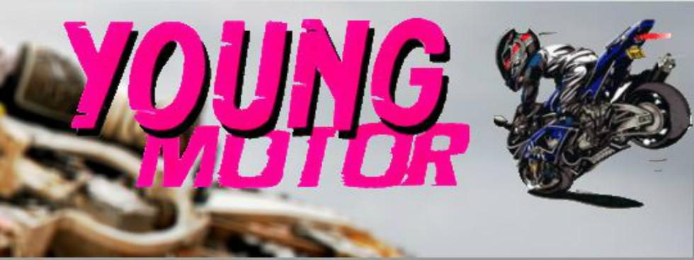 YOUNG MOTOR