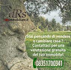 DRS IMMOBILIARE logo