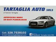 TARTAGLIA AUTO SRLS logo