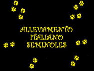 Allevamento italiano SEMINOLES logo