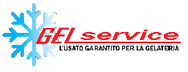 GELSERVICE logo