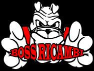 Boss Ricambi di Fabiani Americo logo