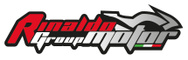 Rinaldo Group Motor logo