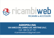 RICAMBI WEB SRL logo