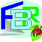 FERRAMENTA BRIKO BONOMI logo