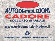 AUTODEMOLIZIONI CADORE logo