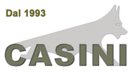 Casini Samuele logo