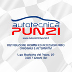 AUTOTECNICA PUNZI "VETTURE GARANTITE" logo