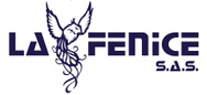 DEMOLIZIONE LA FENICE di Pellegrino Costantino logo
