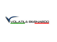 VOLATILE BERNARDO SRL logo