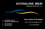 AUTOSALONE SILVI logo