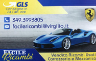 FACILE RICAMBI 3493993805 logo