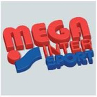 MEGA INTERSPORT logo