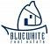 Bluewhite R.E logo