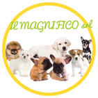 IL MAGNIFICO - CUCCIOLI DI PICCOLA TAGLIA logo