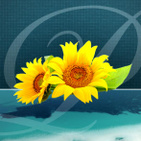 Immobiliare Prince Case Vacanze logo