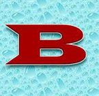 BERNARDI S.r.l.s. logo