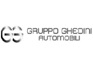 Gruppo Ghedini srl logo