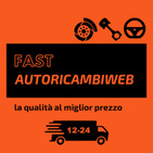 FAST AUTORICAMBIWEB logo