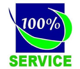 100% Service di Panfilio Simone logo