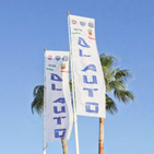 DL AUTO logo