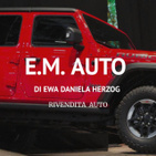 E.M. Auto logo