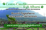 Centro Cinofilo Degli Alburni logo
